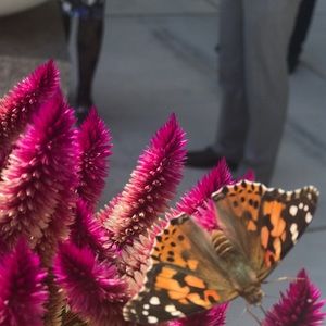 Meet your Posher, Miriam